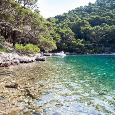 Small Lake In National Park On Mljet Island