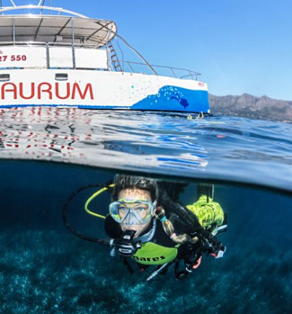 Diving in Adriatic Sea