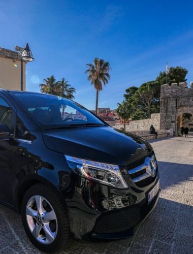 Van Transfer for Entire Family